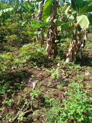 Land for Sale – Kimori Wempa , Murang’A County (Near Pro Gas Hq)