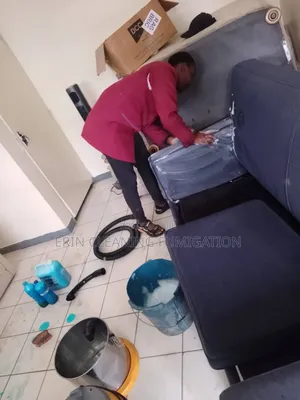 Sofa Cleaning , Bedbugs and Cockroaches Services