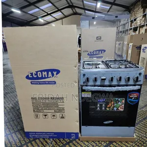 Ecomax 60*60 3+1 Standing Cooker