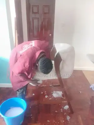 Sofa Same Day Cleaning