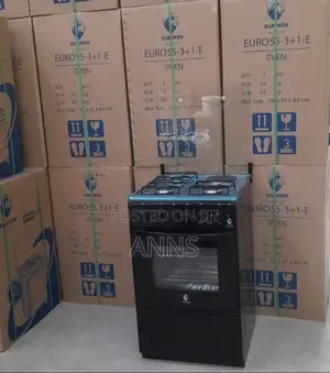 Euroche Standing Cooker With Oven. #