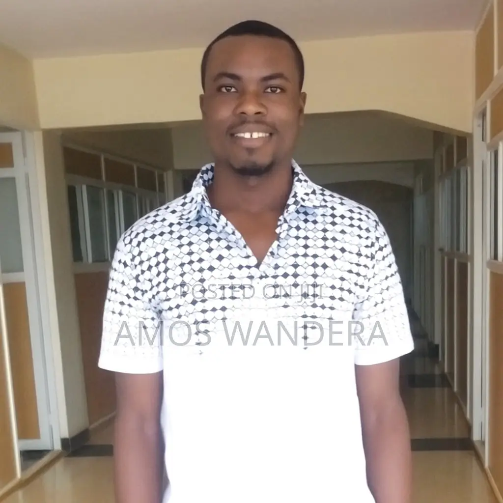Software Developer and Network Admin