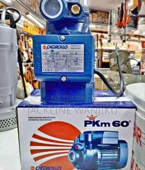 Pedrollo Water Pump Machine 0.5hp Pkm60/ Pedrollo Surface Pump