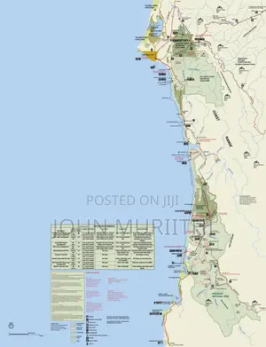 Detailed Illustration Maps Graphics Design Services