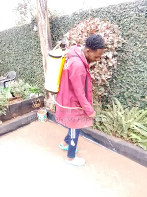 Cleaning and Fumigation Regularly