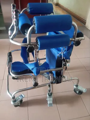 Baby Adjustable Wheel Chair