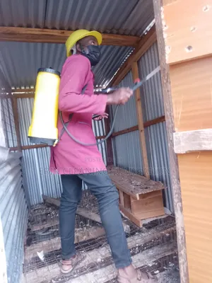 Compound Fumigation Services