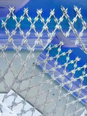Welded Razor Wire 5 by 30m ( Silver)