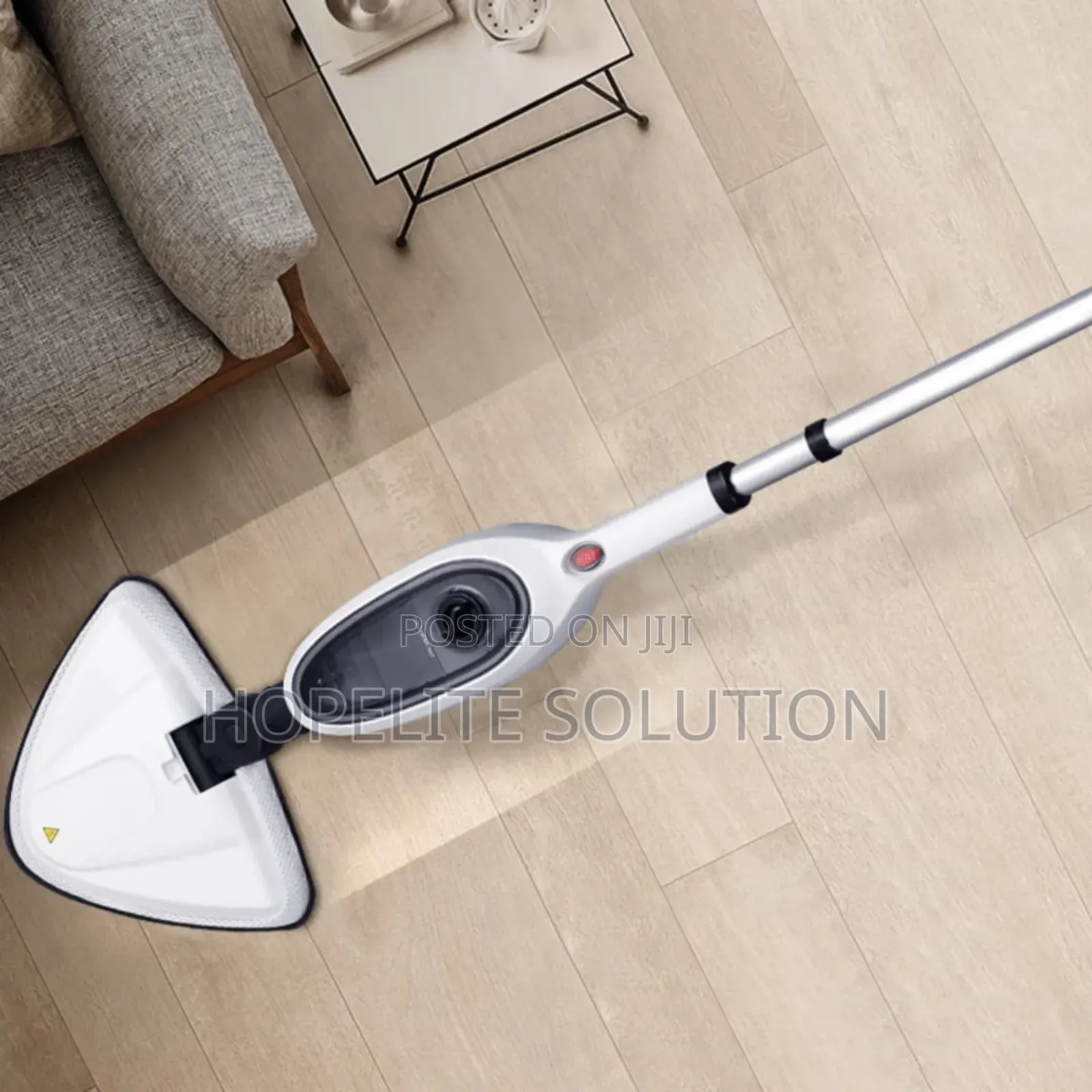 Steam Cleaner