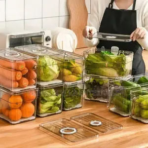 Non Toxic Fridge Storage Containers-3l