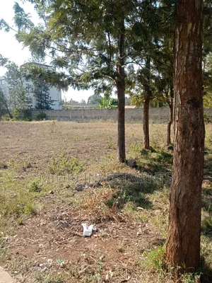  Kenol Quarter Plot on Tarmac – Perfect for Commercial Use!