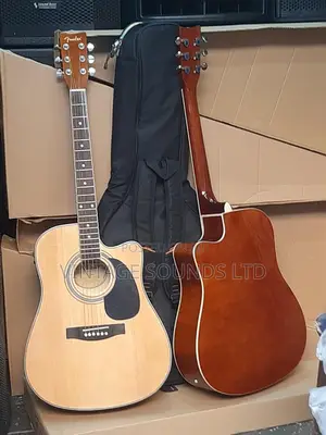Semi Acoustic Box Guitar