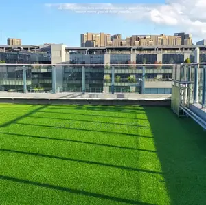 Best Quality Artificial Grass Carpet – All Weather, All Year