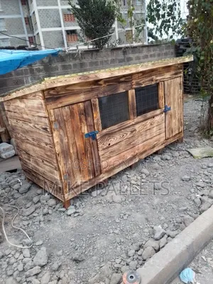 Dog Kennels