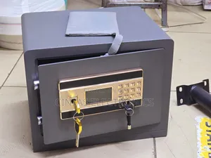 Anti_bugraly Safe Box