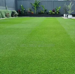 Artificial Grass Carpet Kenya – Green Comfort Without Hassle