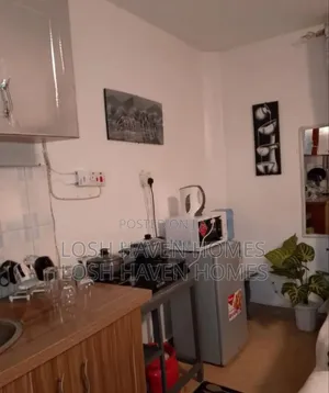 Grey Luxe Studio Airbnb in Roysambu TRM Drive