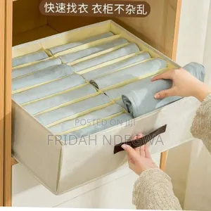 Double Column Undergarments/  Multipurpose Storage Organizer