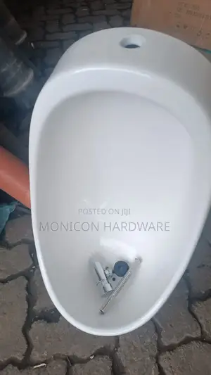 Urinal Bowl and Flush Valve