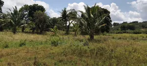 6acres Land On Sale At Matuga Next To Kwale County Hqs Area Kirewe