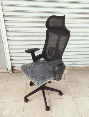 Ergonomic Orthopedic Chair