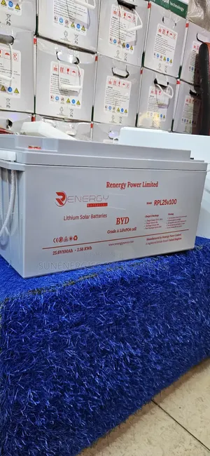 25v 100ah 2.56kwh Renergy Lithium Ion Battery
