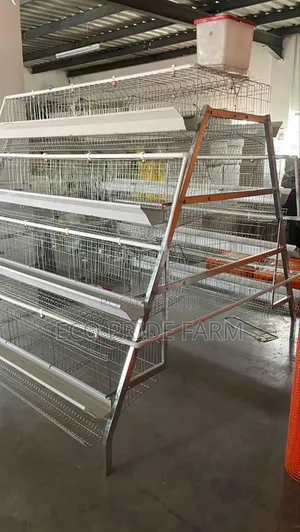 Chicken Cages for Layers