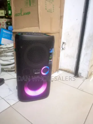 Rechargeable Hisense Party Rocker – Usb, Aux Ready
