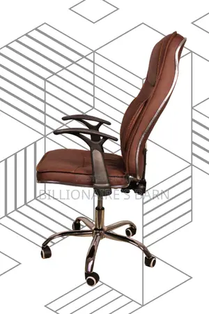 Ergonomic Executive Leather Chair — Steel Frame