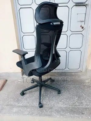 Luxury Orthopedic Chair