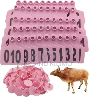 Cattle Ear Tags -Medium