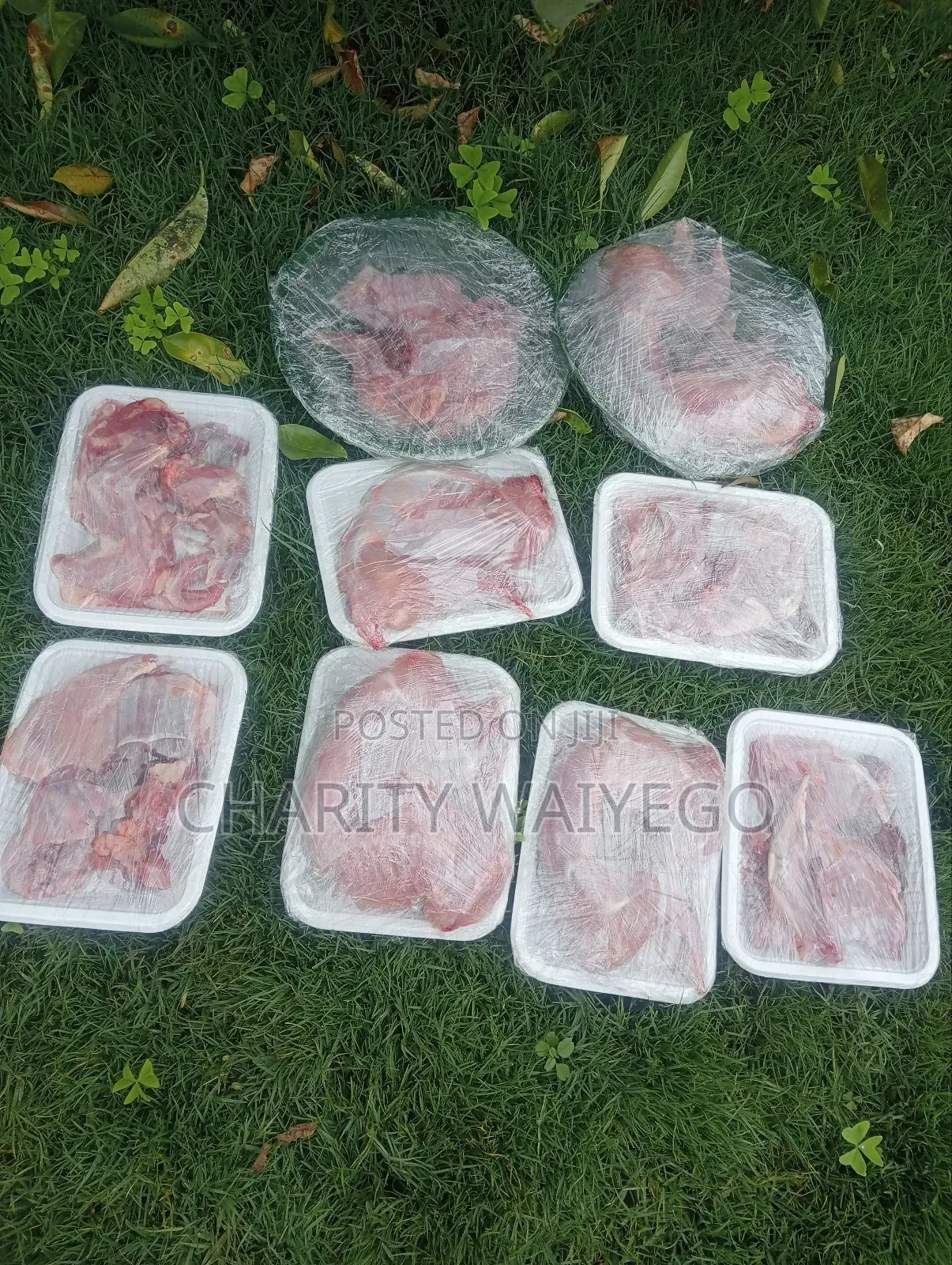 Fresh Rabbit Meat