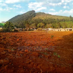 50 X 100 Plots Kiirua Tti