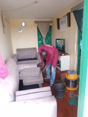 Specious Sofa Cleaning Services