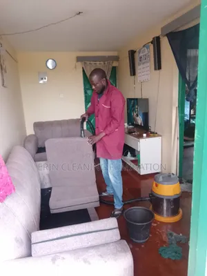 Reliable and Professional Sofa Cleaning Services