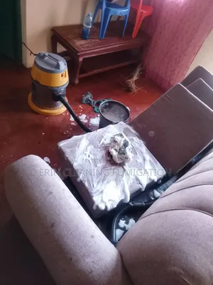 Reliable and Professional Sofa Cleaning Services