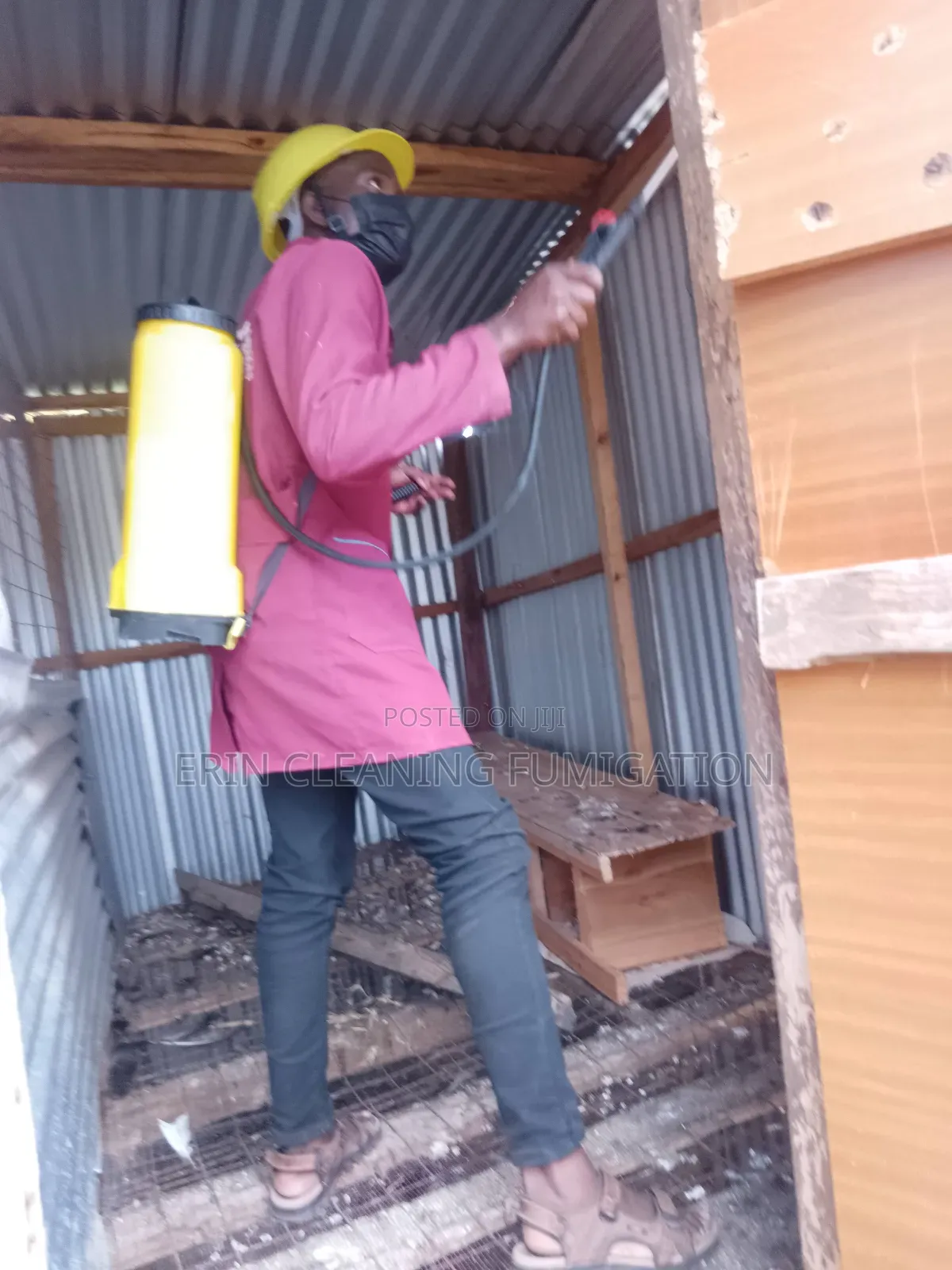 Cheap Bedbugs Fumigation