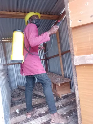 Cheap Bedbugs Fumigation