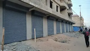 Doors Best Installation Shutter in Kisumu