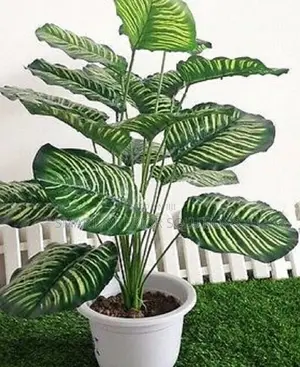 Zero Maintenance Artificial Plants