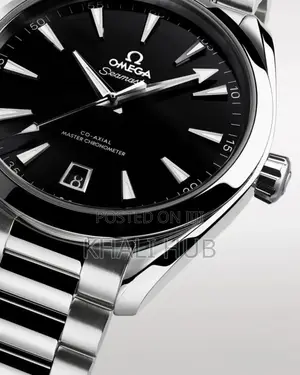 Omega Seamaster Watch