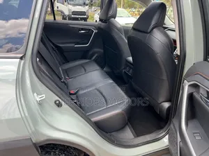 Toyota RAV4 Adventure 2019 Gray