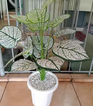 No Watering Artificial Plants