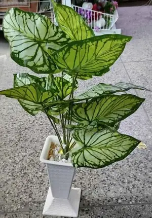 Quality Artficial Plants
