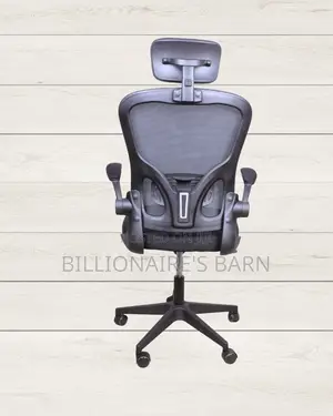 Grey Ergonomic Office Chair (Quiet-Roll) — Restocked!