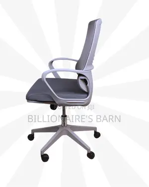 Grey Ergonomic Mesh Office Chair | Plush Scratch-Resistant Finish