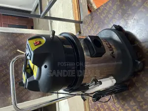 Electric Carpet Cleaner