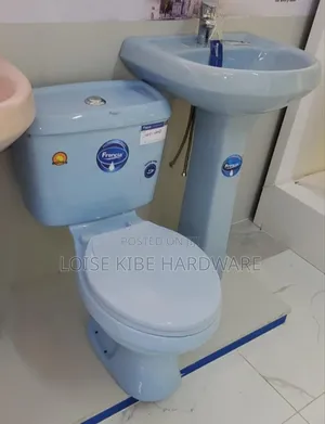 Blue Toilet Available