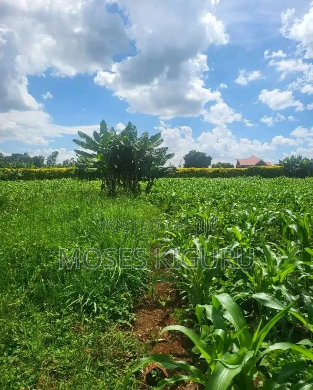 Mugutha Prime 40x80 Plots.