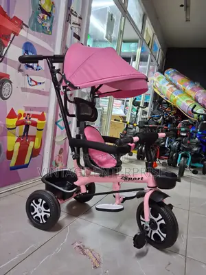 Kids Tricycle With Canopy